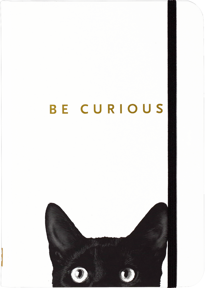 Curious Cat Journal - Raymond's Hallmark
