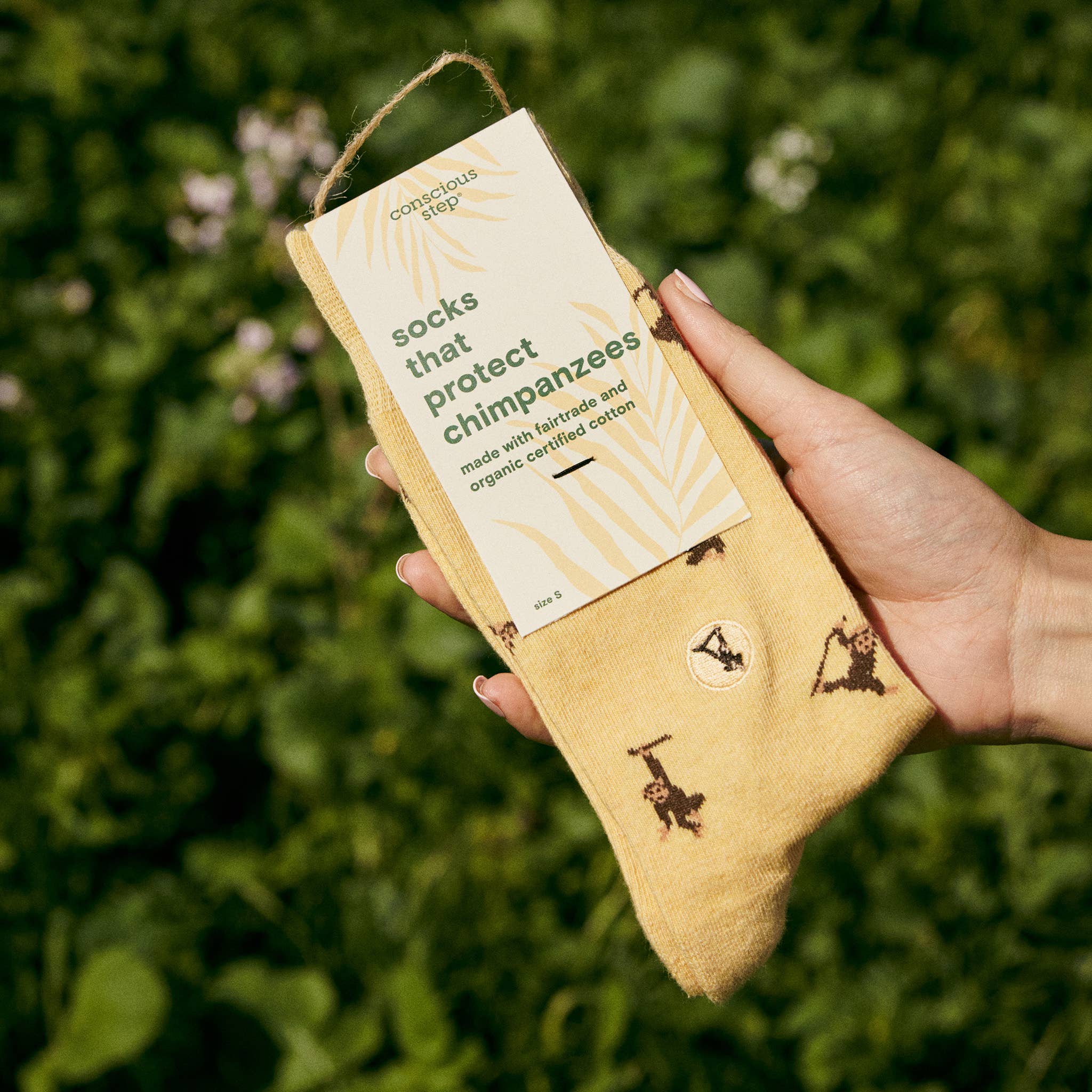 Socks that Protect Chimpanzees - Raymond's Hallmark