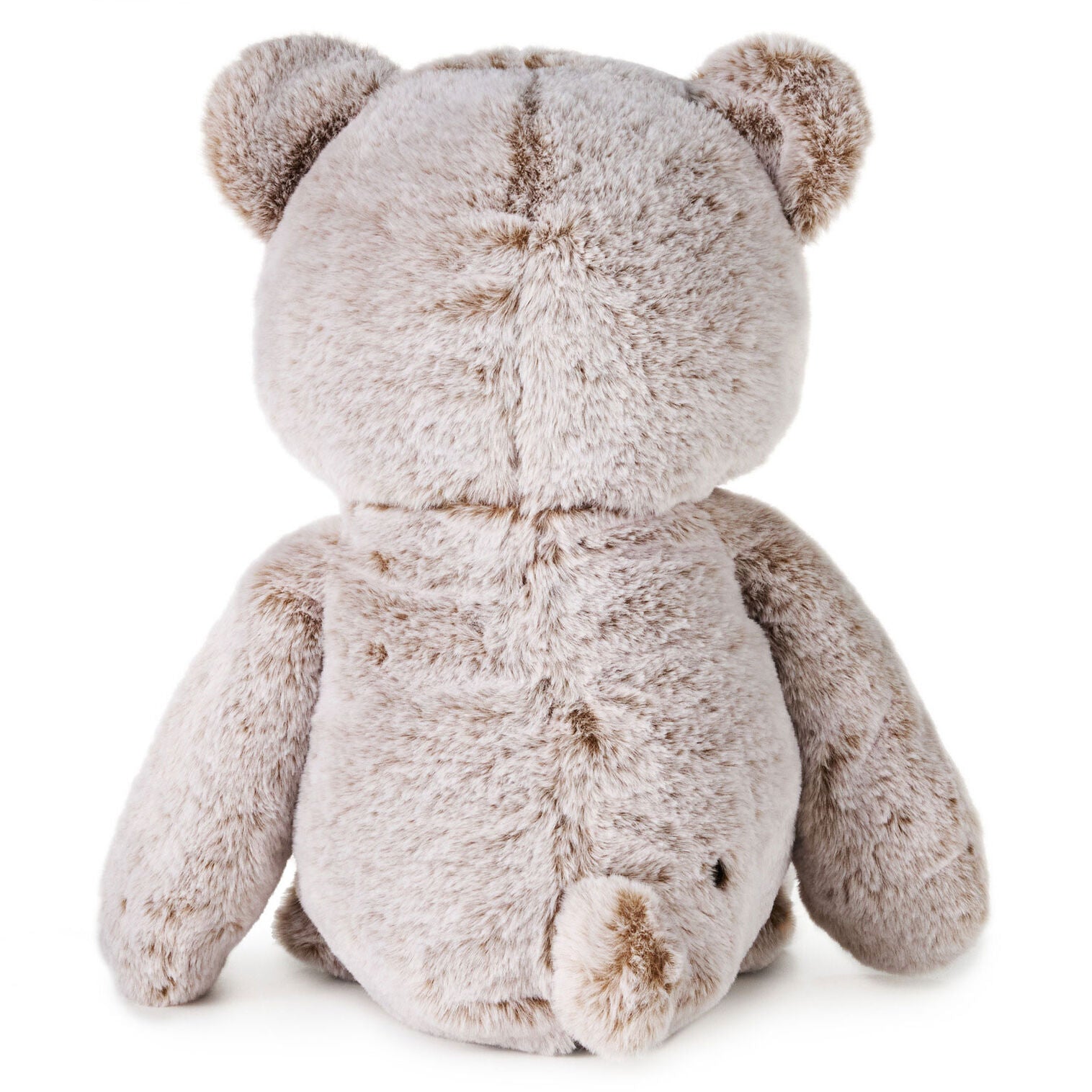 Bear Plush - Raymond's Hallmark