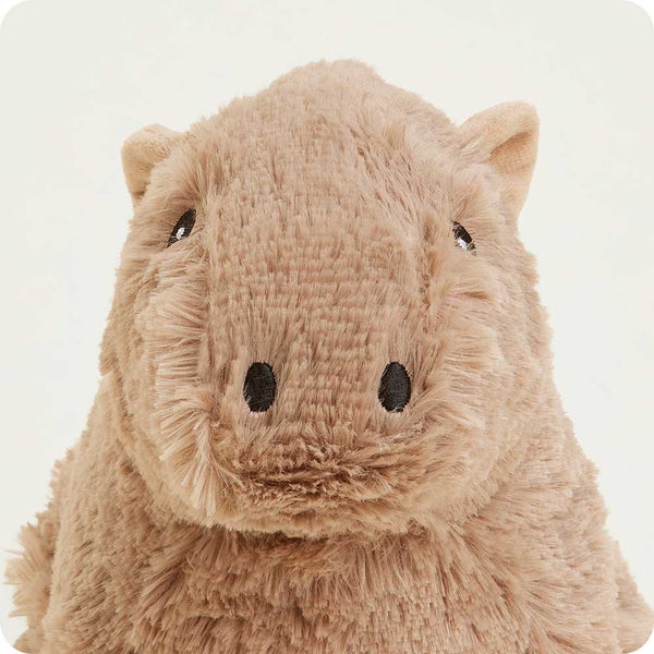 Cozy Capybara Warmies - Raymond's Hallmark