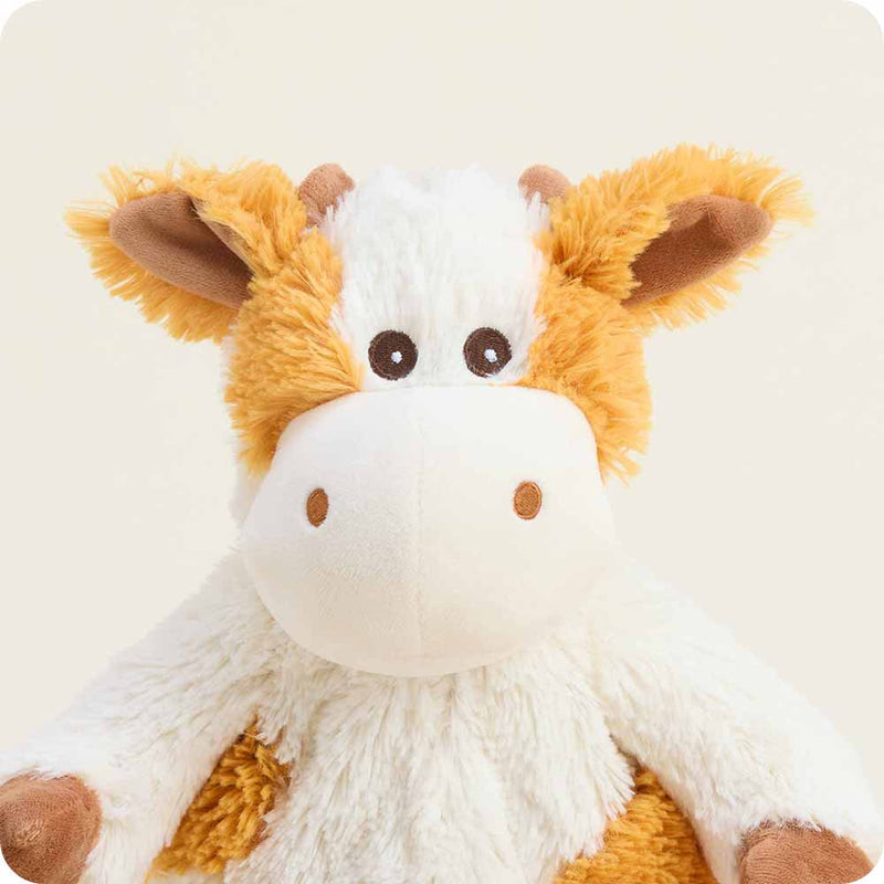 Pumpkin Spice Cow Warmies - Raymond's Hallmark