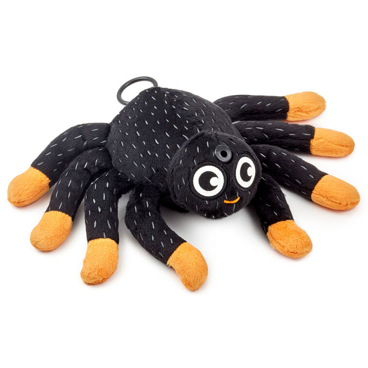 Drop’ N’ Greet Spider - Raymond's Hallmark