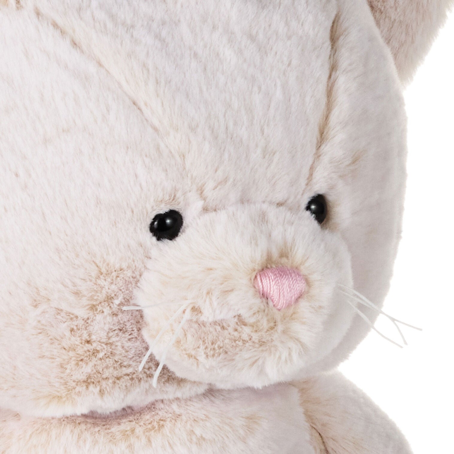 Cat Plush - Raymond's Hallmark