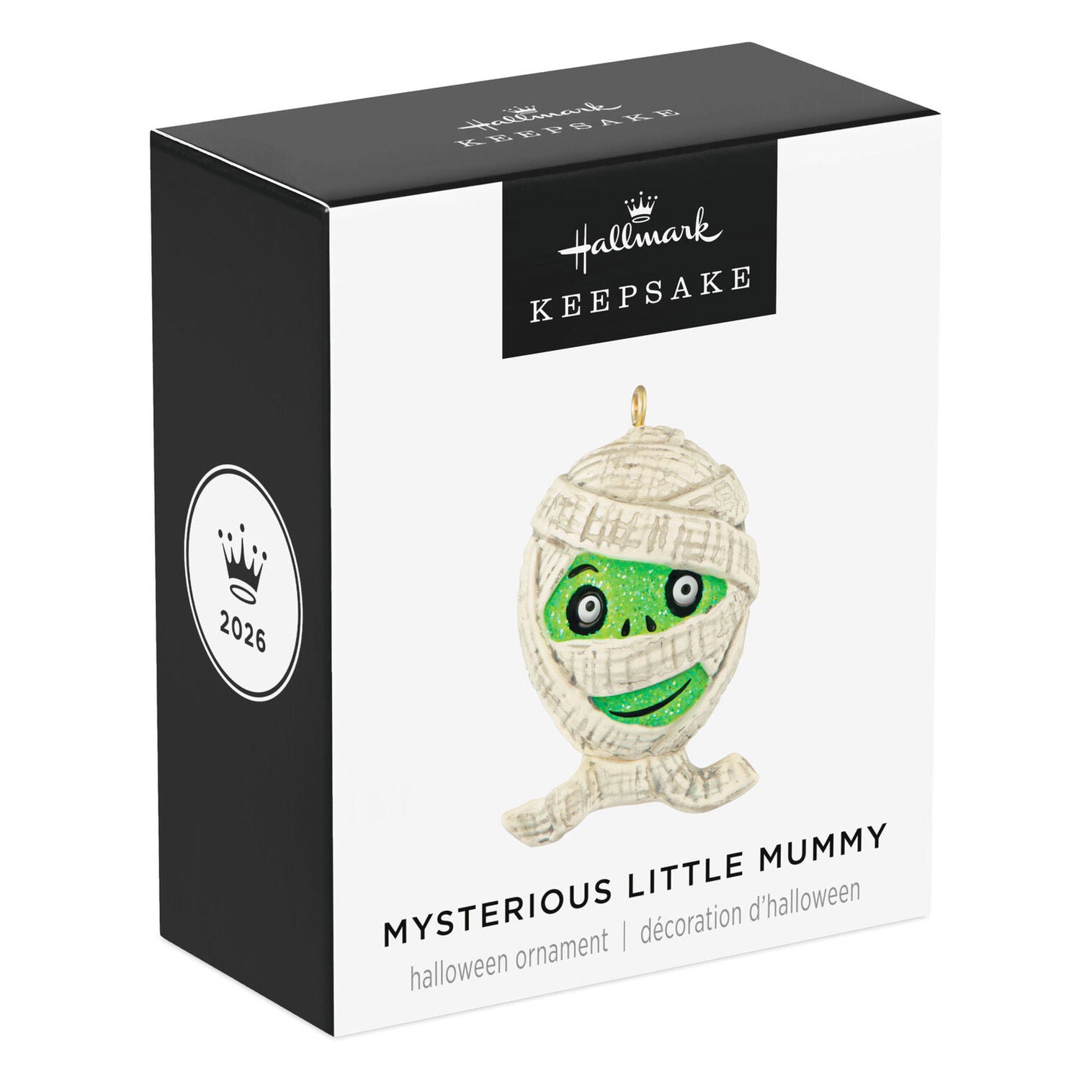 Mysterious Little Mummy