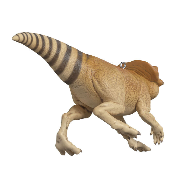 Jurassic World Rebirth "Dolores" the Aquilops Ornament