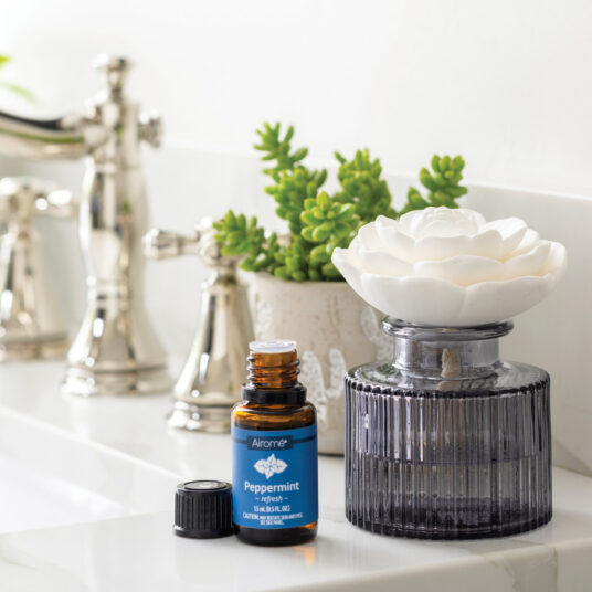 Rose Porcelain Passive Diffuser