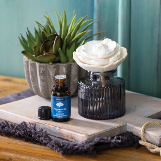 Rose Porcelain Passive Diffuser