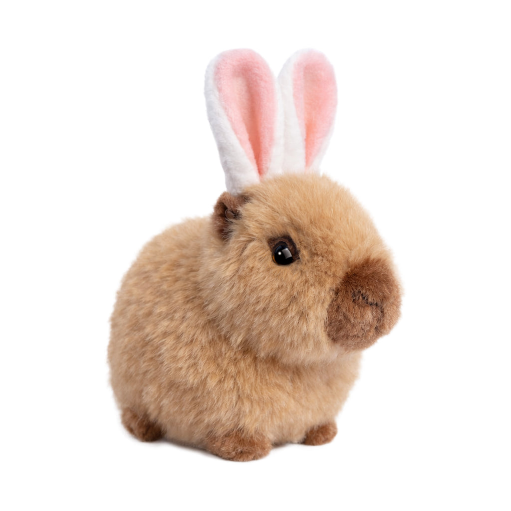 Capybara w/Bunny Ears - Raymond's Hallmark