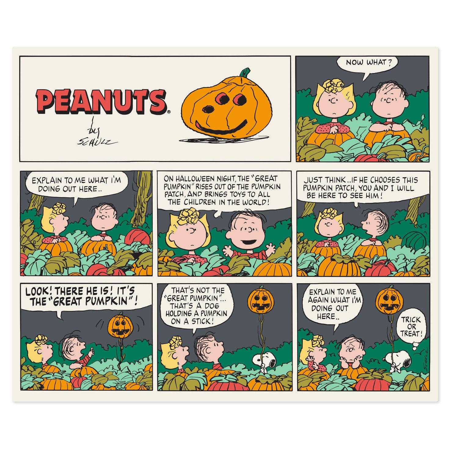 Peanuts Great Pumpkin Comic Strip Blanket - Raymond's Hallmark