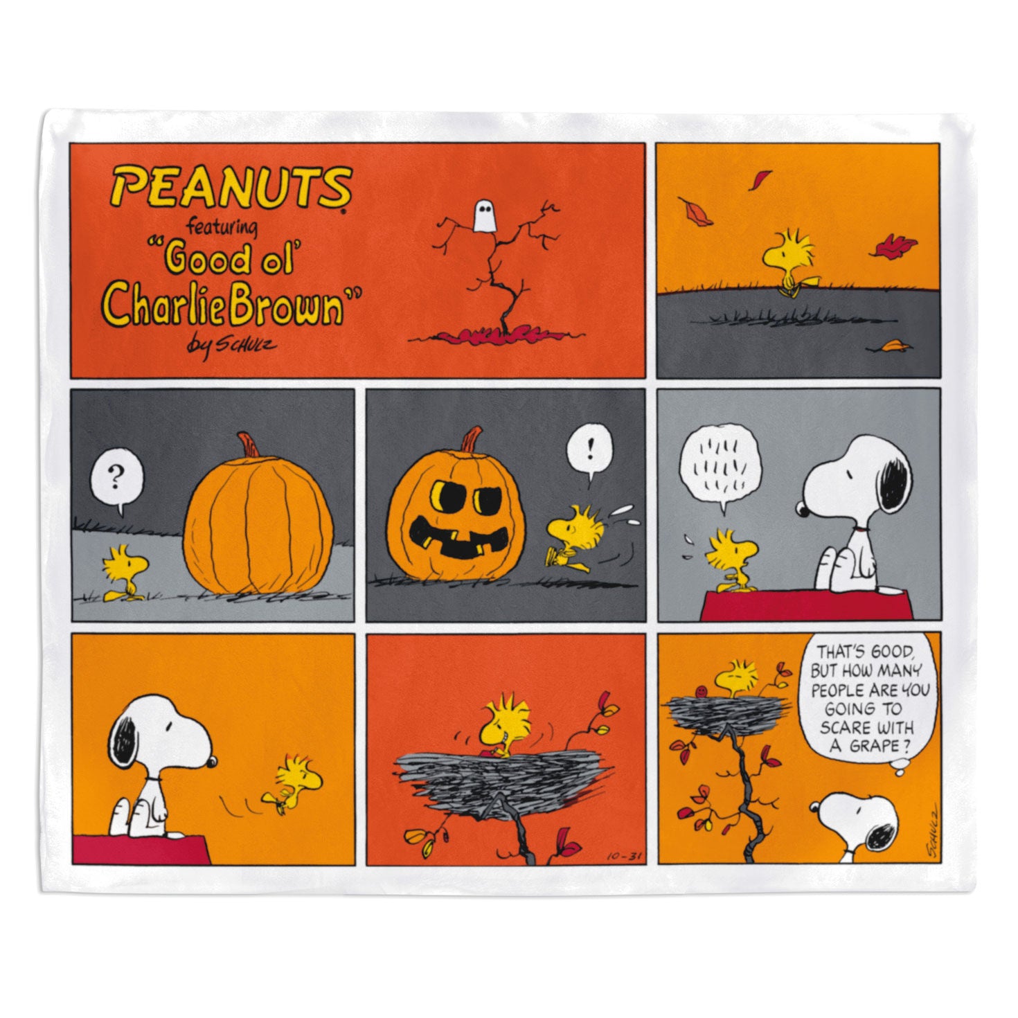 Peanuts Blanket - Raymond's Hallmark