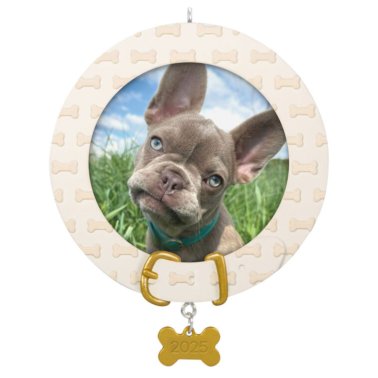 FAITHFUL FRIEND ORNAMENT - Raymond's Hallmark