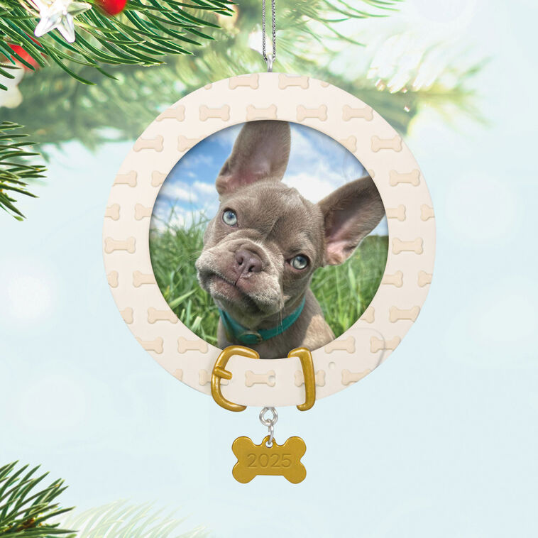 FAITHFUL FRIEND ORNAMENT - Raymond's Hallmark