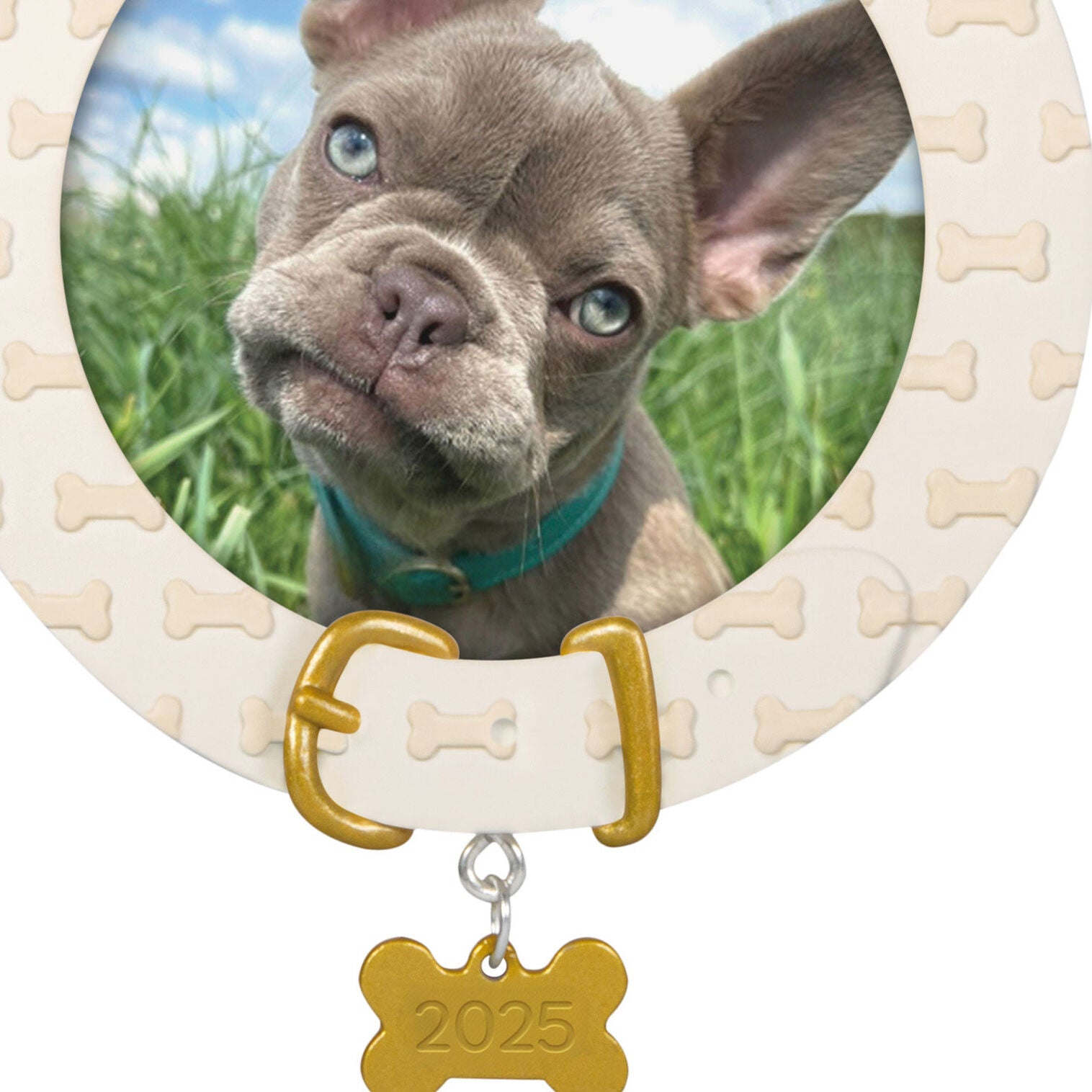 FAITHFUL FRIEND ORNAMENT - Raymond's Hallmark