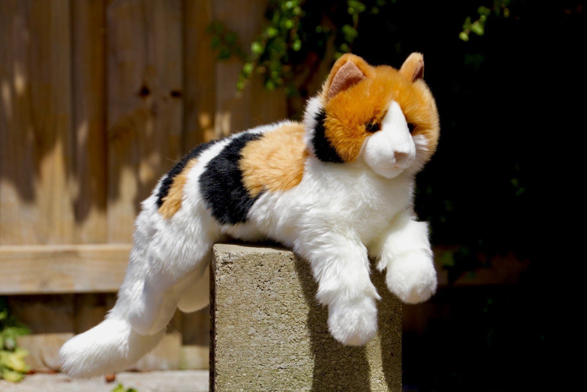 Puzzle Calico Cat - Raymond's Hallmark