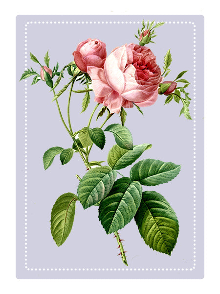 Rose Perfume Oil - Raymond's Hallmark