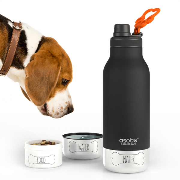 3-in-1 Ceramic Lined Bottle For You And Your Dog
