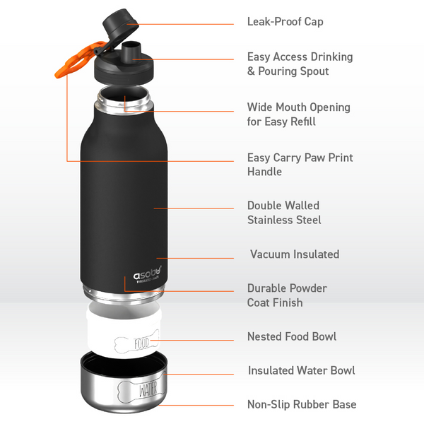 3-in-1 Ceramic Lined Bottle For You And Your Dog
