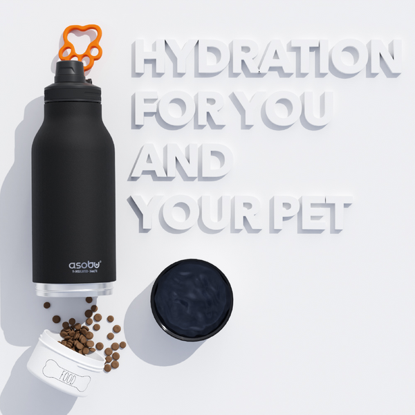 3-in-1 Ceramic Lined Bottle For You And Your Dog