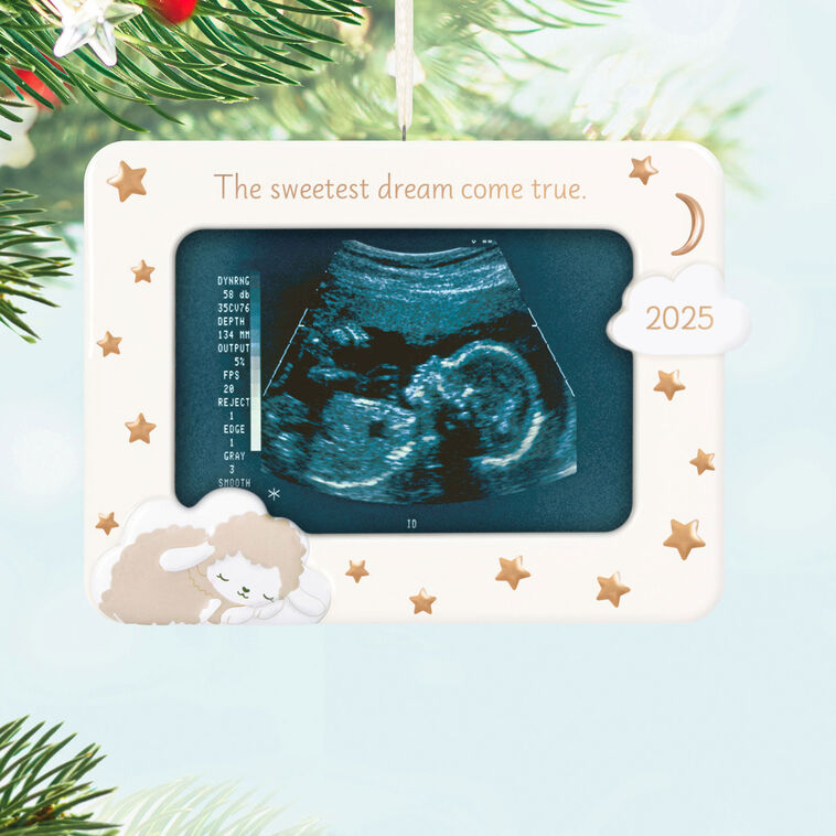 Sweetest Dream Come True 2025 Photo Frame Porcelain Ornament - Raymond's Hallmark
