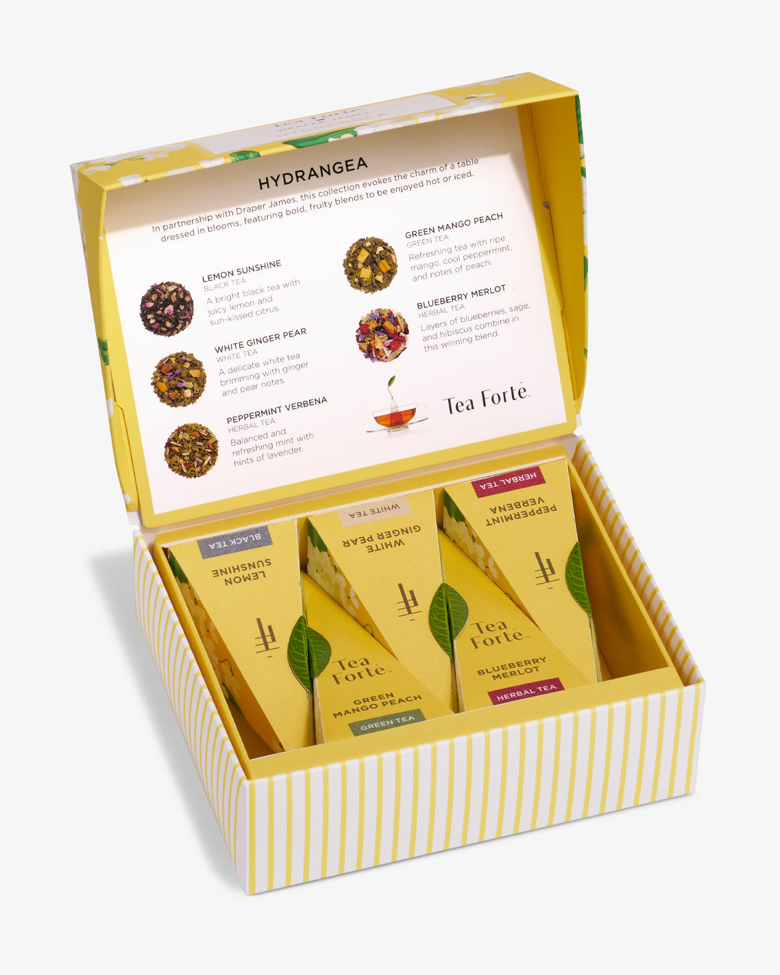 Mini Petite Presentation Box Hydrangea - Raymond's Hallmark