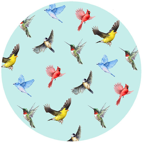 Blue Multi Birds Jar Opener