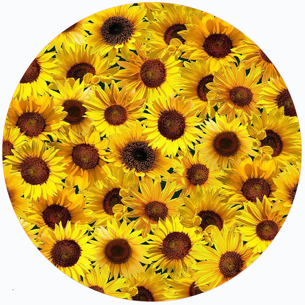 Black Sunflower Jar Opener