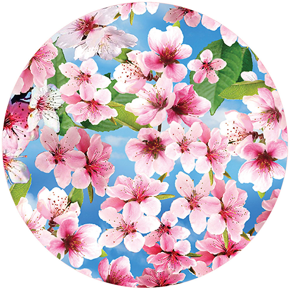 Pink Dogwood Jar Opener