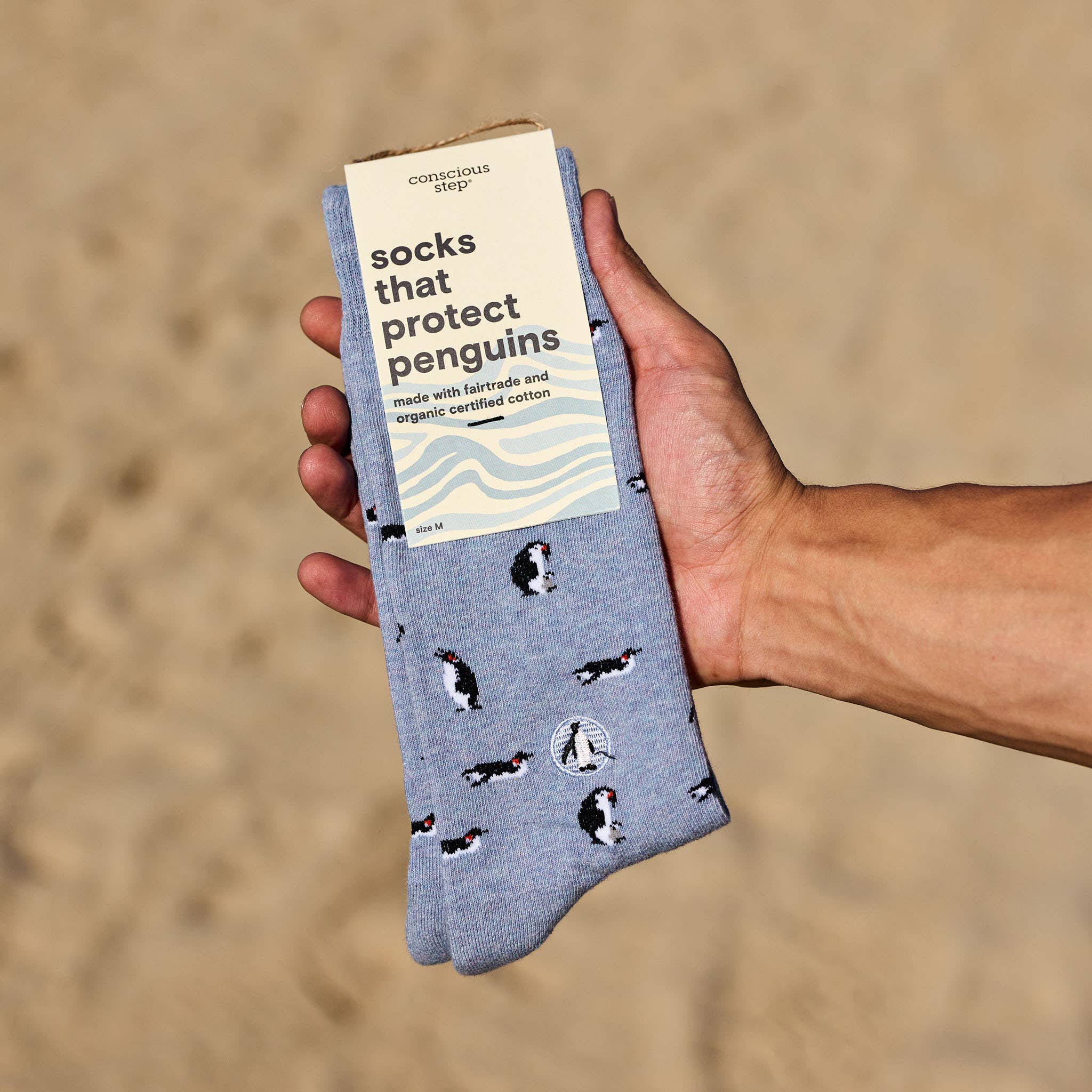 Socks that Protect Penguins (Periwinkle Penguins) - Raymond's Hallmark