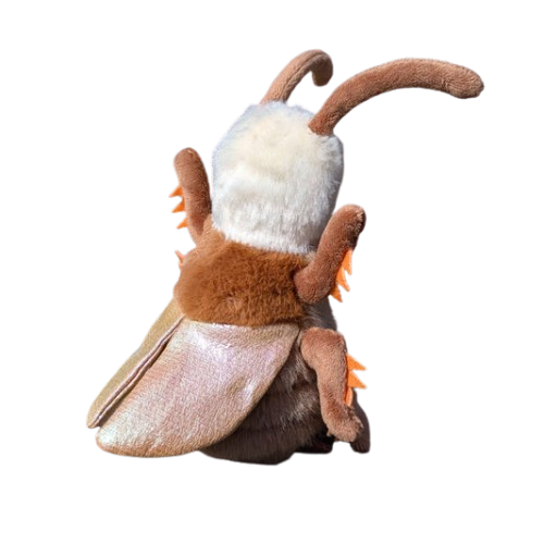 Rocco Dancing Cockroach - Raymond's Hallmark