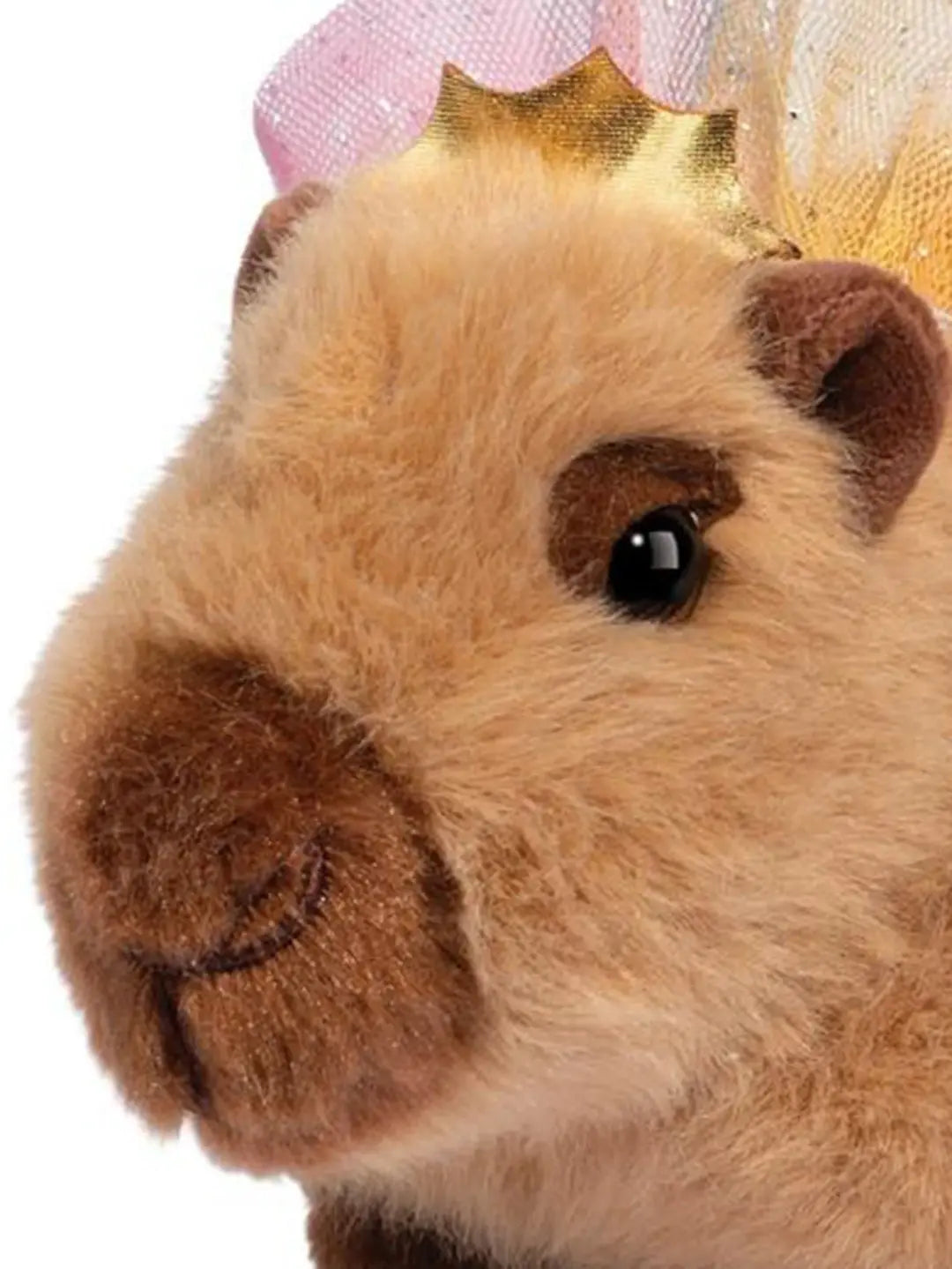 Capybara with Tutu