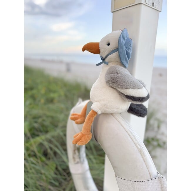 Seymour Seagull/Cream - Raymond's Hallmark