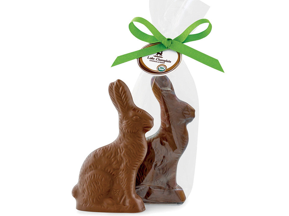 Milk Chocolate Bunny 5” - Raymond's Hallmark