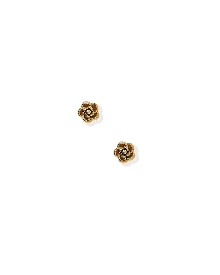 Screwback Stud Earrings-Rose Gold - Raymond's Hallmark