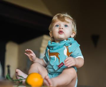 Kerchief Bib Blue Buck - Raymond's Hallmark